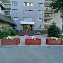 small-image